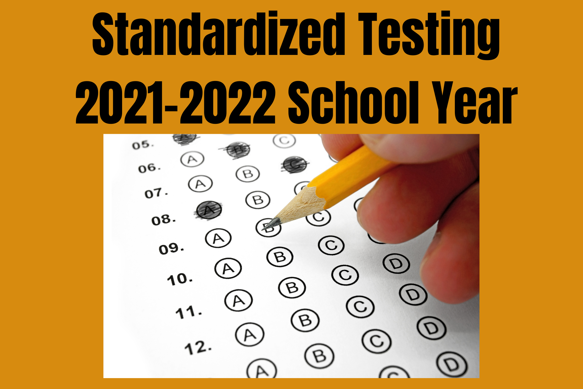 Standardized test is. Standardized Tests. Standardized Test Results перевод.