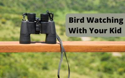 Bird Watching with Your Kids
