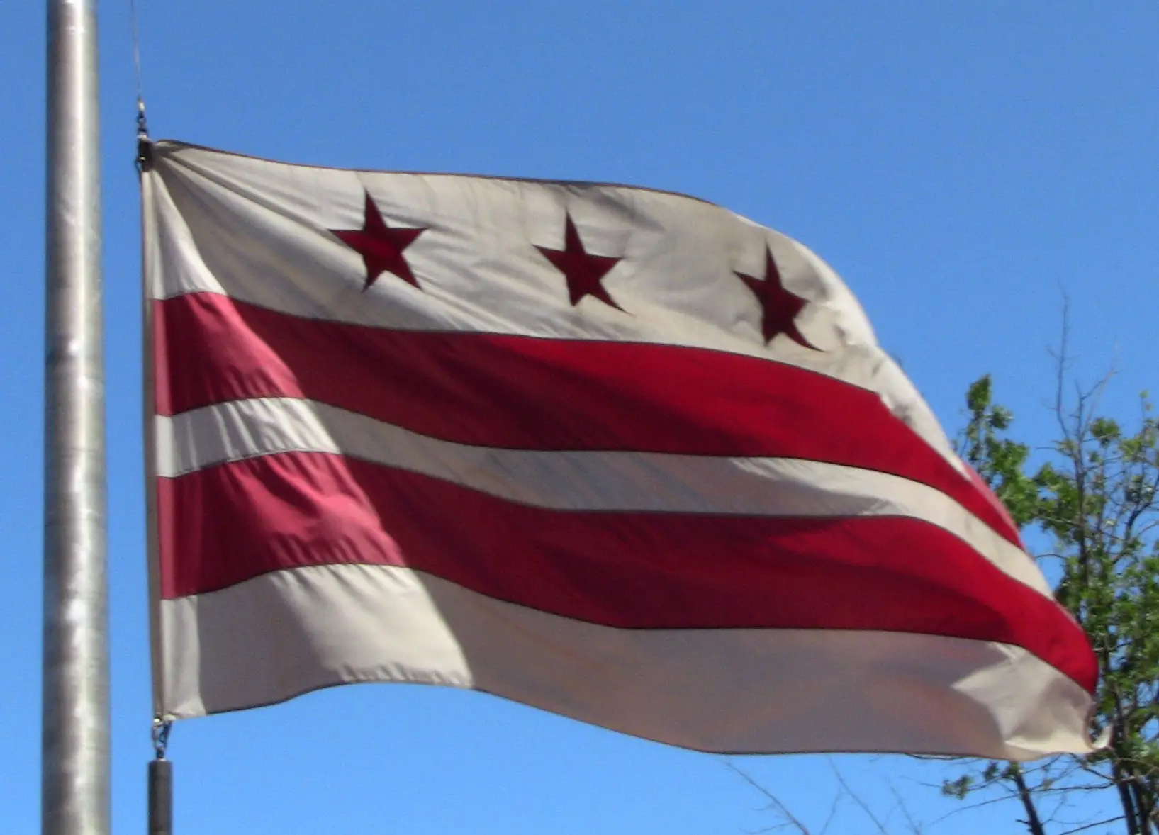 Flag-District-of-Columbia-waving