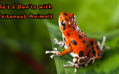 Do’s & Don’ts with Poisonous Animals