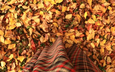 Homeschooling in the Fall: Routines, Resources, and Cozy Learning